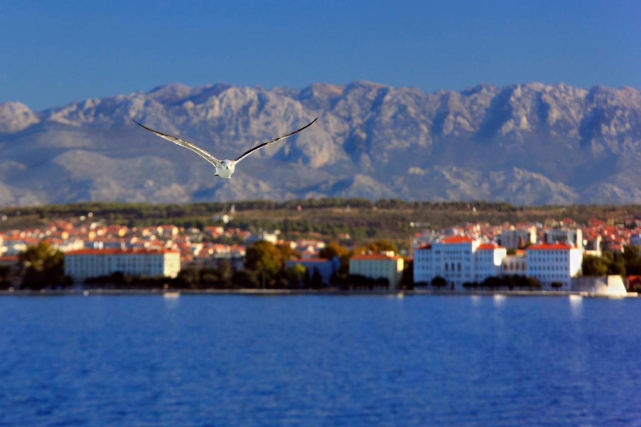 Kuki Apartment With Balcony Zadar Exterior foto